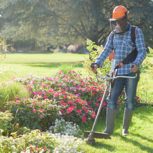 worker mowing the lawn